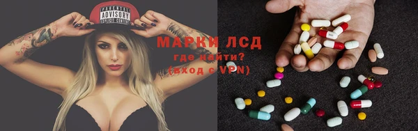 ГАЛЛЮЦИНОГЕННЫЕ ГРИБЫ Абаза