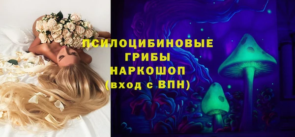ГАЛЛЮЦИНОГЕННЫЕ ГРИБЫ Абаза