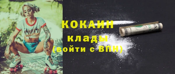 ГАЛЛЮЦИНОГЕННЫЕ ГРИБЫ Абаза