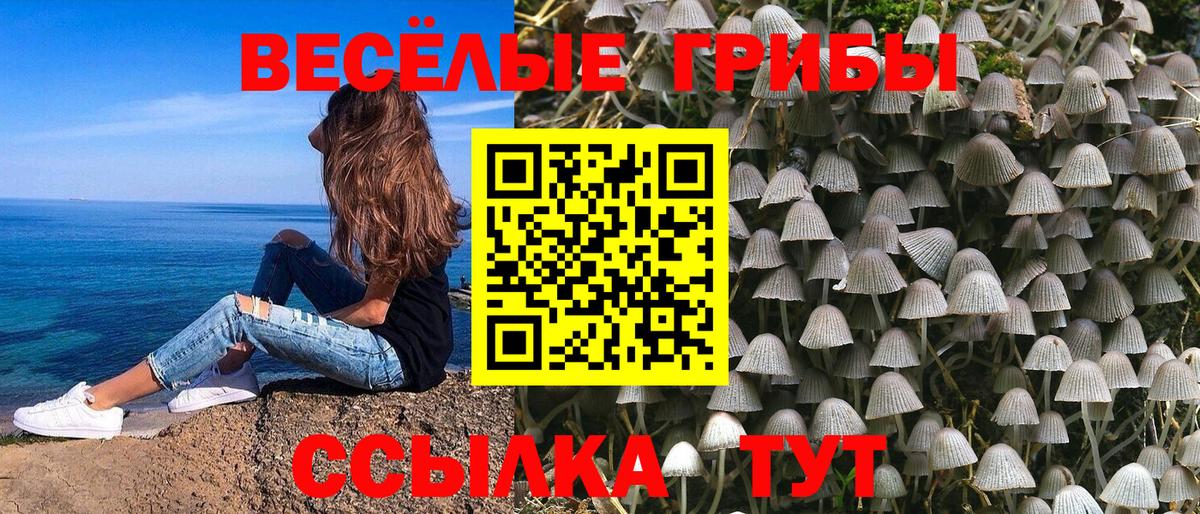 Псилоцибиновые грибы Psilocybe Мирный