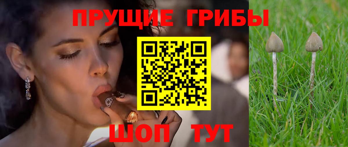 Галлюциногенные грибы ЛСД  Вход с VPN  Псилоцибиновые грибы прущие грибы  Мирный 